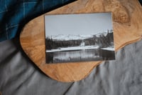 film print // mammoth snow