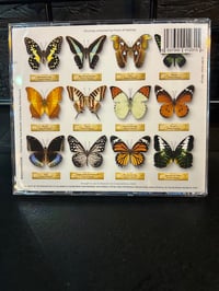 Image 3 of Foxton & Hastings - The Butterfly Effect CD