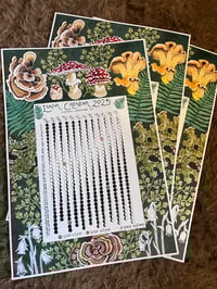 Image 2 of 2025 Moon Calendar - Limited Time