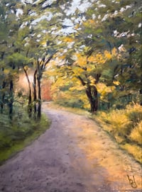 Sunlit Path