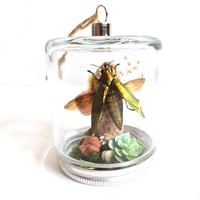 Image 1 of Metallic Jewel Beetle Woodland Hanging Mason Jar