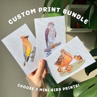 Image 1 of Mini Bird Prints - Custom Bundle