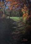 Evening Shadows