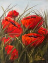 Bold Poppies