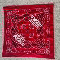 Image 2 of bandanna