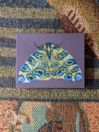 Original Moth Painting: Pantherodes Pardalaria