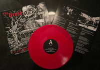 Image 4 of THE BROOD "For The Dark" LP