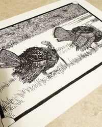 Image 1 of Turkeys Strutting - Pen Drawing
