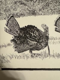Image 3 of Turkeys Strutting - Pen Drawing