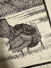 Image 4 of Turkeys Strutting - Pen Drawing