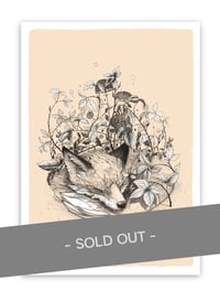 Image 1 of Rox - daylight edition - print