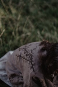 Image 5 of Larix • Linen open cardigan