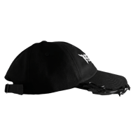 Image 3 of Capitalist