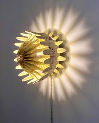 Image 1 of Floralis_V01 — stolní a nástěnná lampa