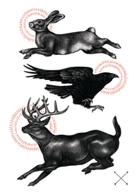Image 1 of The Hare, The Crow & The Stag