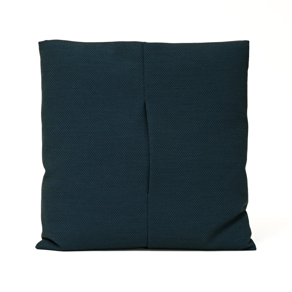 Image of Pillow - Plecto