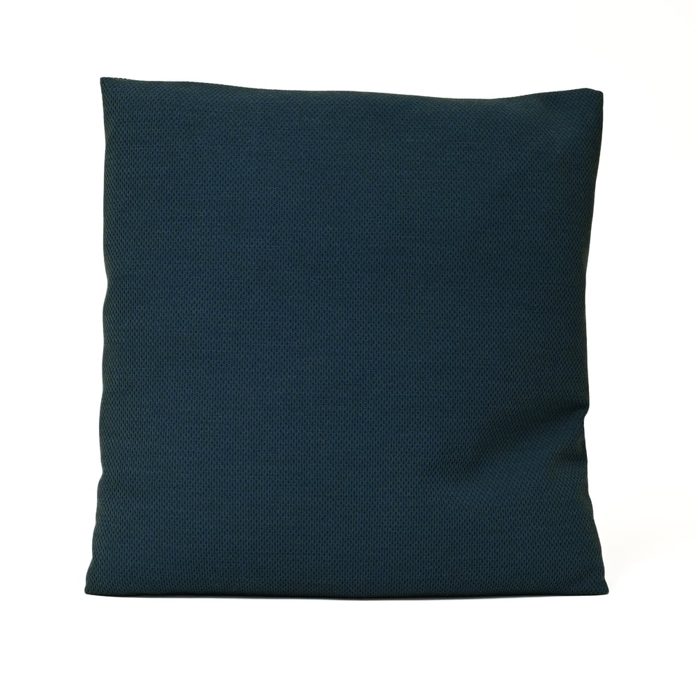 Image of Pillow - Plecto