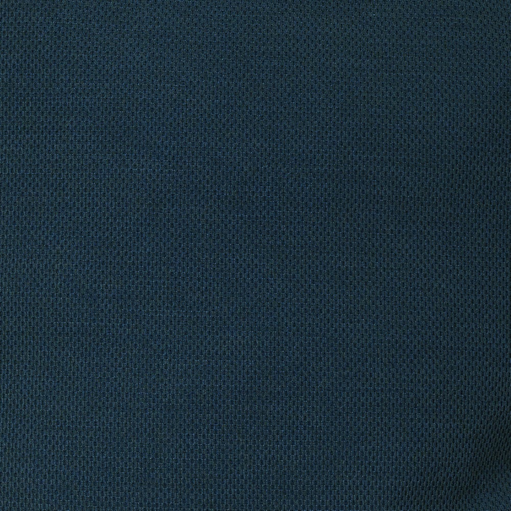 Image of Pillow - Plecto
