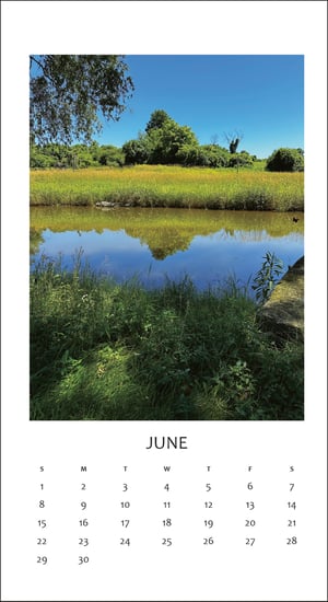 Image of  Along the Way, a walk a day  - 2025Calendar