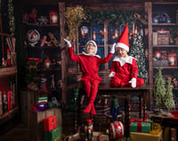 Image 5 of ELF ON THE SHELF 2026 { DEPOSIT ONLY }