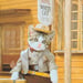 Image of (Kyoichi Tsuzuki) (Rock 'n' Roll Cats)