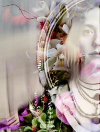 Image 1 of Laneway monarch limited edition print