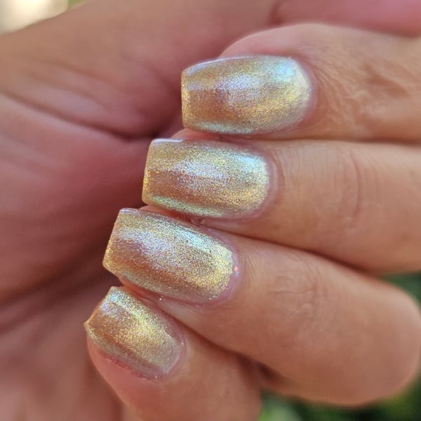 Image of Moonbeam Ice Cream