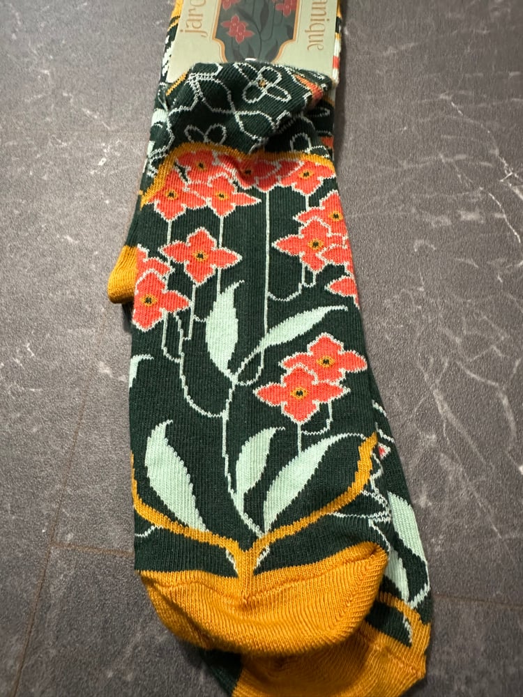 Image of Jardin Botanique