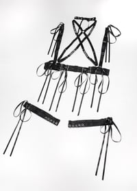 Image 3 of Two-row garter with lacing and piercings