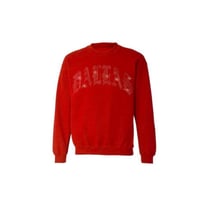 DALLAS BLING CREWNECK (RED)