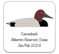 Image 5 of Canvasback - No.135 - UK Birding Series