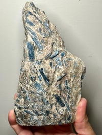 Image 15 of Kyanite in Quartz feldspar schist | Brazil #2686