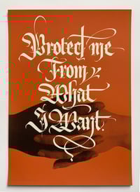Image 1 of Protect Me (silkscreen)