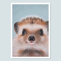 Image 1 of Little Hedgehog | Animal Rights | Button