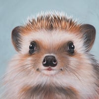 Image 4 of Little Hedgehog | Canvas (Leinwand)