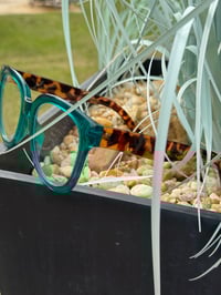 Image 2 of Green & Tortoise Clear Frames