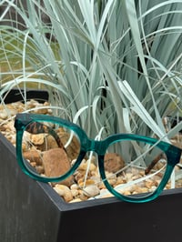 Image 1 of Green & Tortoise Clear Frames