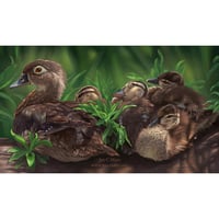 Wood Ducks 9x16" Print