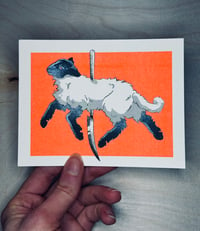 Image 5 of CAROUSEL RISO PRINTS