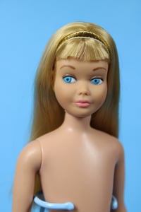 Image 1 of Skipper Doll Platinum Blonde (B)