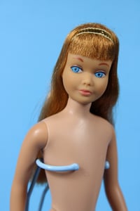 Image 1 of Skipper Doll Titian Hair