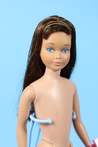 Image 1 of Skipper Doll Rare Two Tone Hair Color