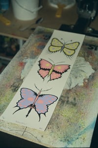 Image 1 of Butterfly Screen Print
