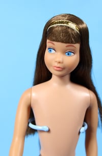 Image 1 of Skipper Doll Brunette (A)