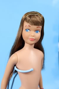 Image 1 of Skipper Doll Brunette (B)