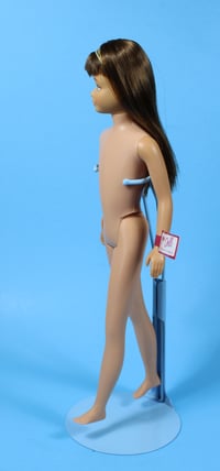 Image 3 of Skipper Doll Brunette (C)