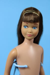 Image 1 of Skipper Doll Brunette (C)