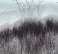 Image 1 of 13x6 HD frontal 