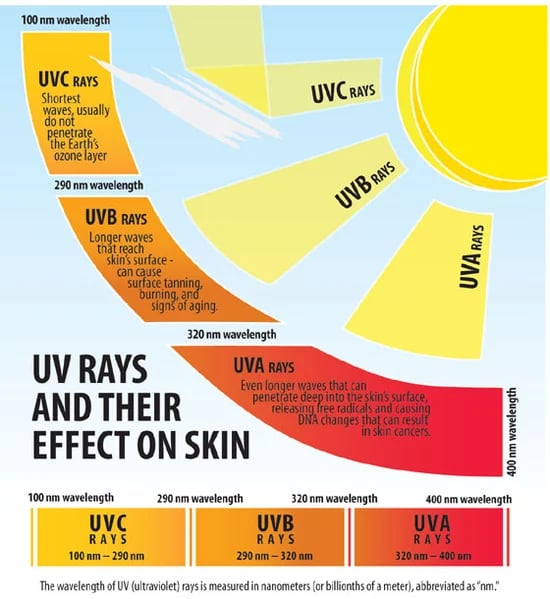 EXOCTIC SKIN OILS: Watermelon-Papaya-Raspberry-Apple-Camellia-Jojoba-Calendula-Avocado. SPF