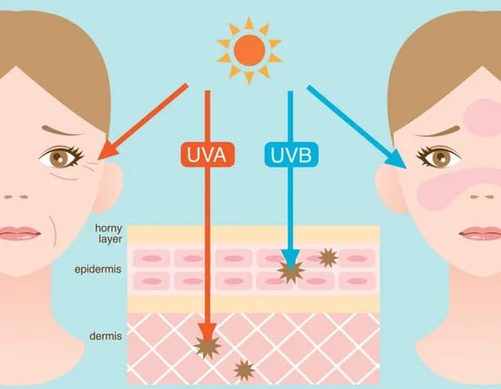 EXOCTIC SKIN OILS: Watermelon-Papaya-Raspberry-Apple-Camellia-Jojoba-Calendula-Avocado. SPF